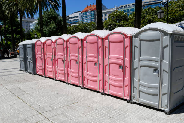 Best Standard Portable Toilet Rental  in Roanoke, IN