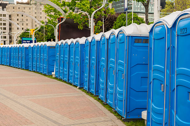 Best Eco-Friendly Portable Toilets  in Roanoke, IN